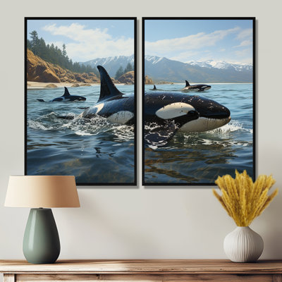 Noir et blanc, animaux marins, majestueux orques - impressions sur toile modernes