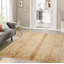 Wool Oriental Area Rug in Biscuit-65513607
