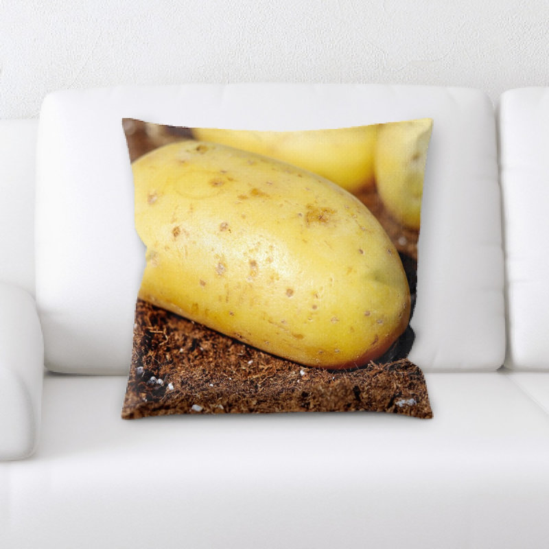 Coussin pommes de terre