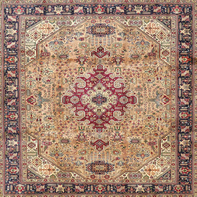 Anaelle Oriental Indoor Rug