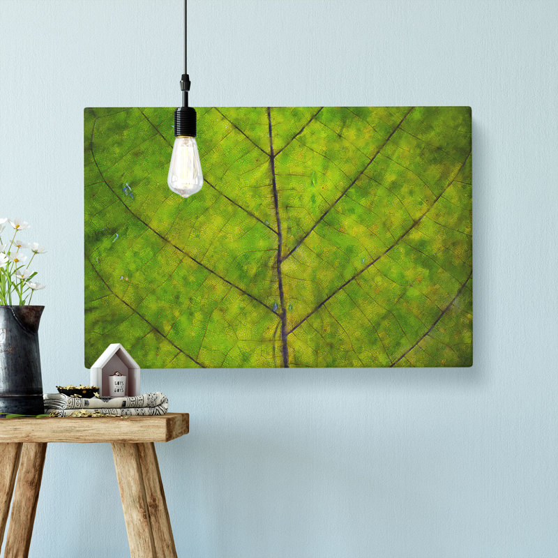 Lines Of The Leaf - Wrapped Canvas, 45cm H x 76cm W x 4cm D