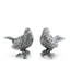 Song Bird Salt And Pepper Shaker Set