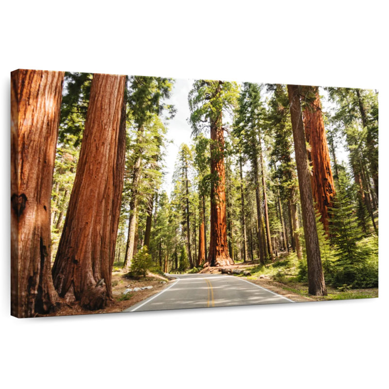 Harnek Sequoia Tree Lane, 32" H x 48" W