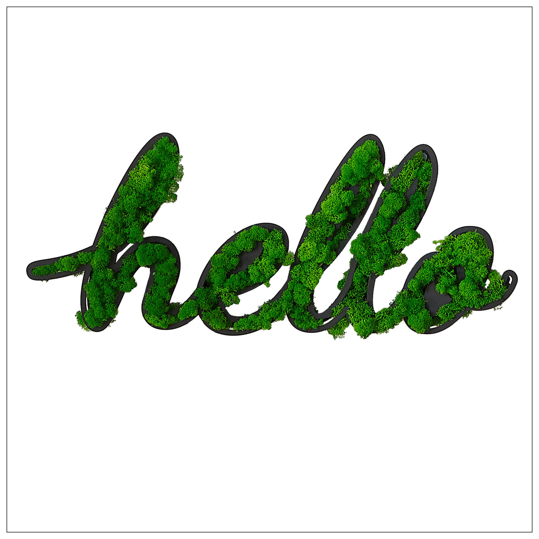 Loon Peak® HELLO Letter Art Moss Wall Decor | Wayfair
