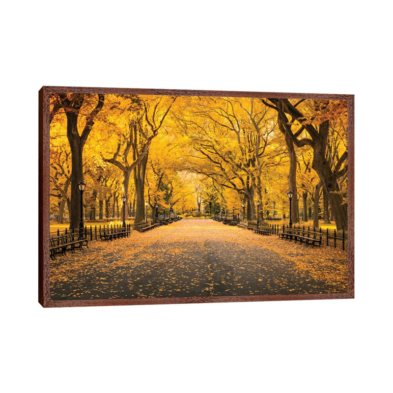 Central Park In Autumn by Jan Becke - Print on Canvas, 45.72cm H x 66.04cm W x 3.81cm D, Brown Framed