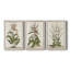 Munting Botanicals I - Toile tendue avec châssis sur mesure - 3 pièces-1606209659-1606209654