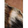 Aaleiah Sheepskin Hand Woven Area Rug