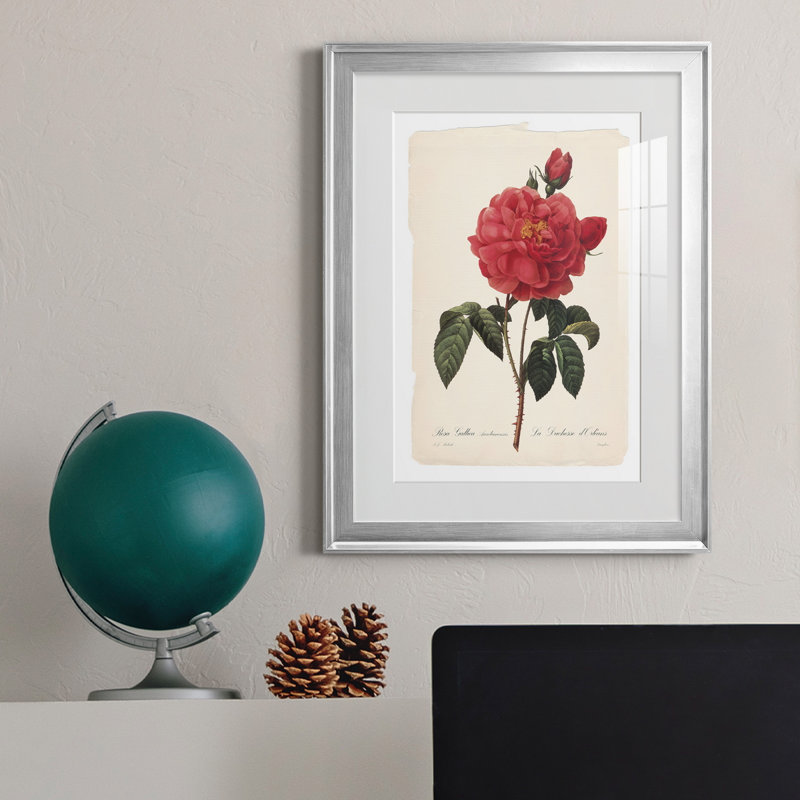 Red Botanical III - cadre photo, impression, Argent, H 18,5 po x l 24,5 po x P 1,5 po