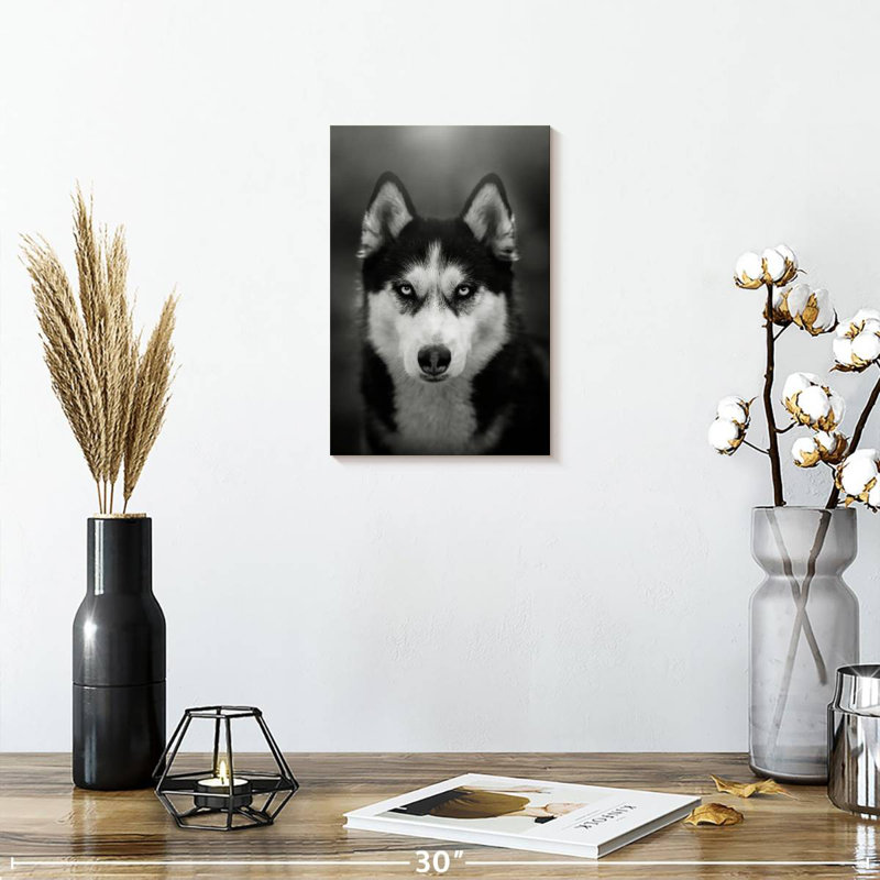 Brampt Serious Siberian Husky, 24" H x 16" W