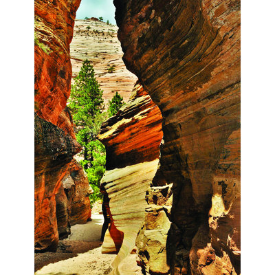" Zion Canyon " by Joseph Elliot