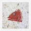 Snapper Red By John Beard - Framed Gallery Wrapped Canvas Print-1863877332-1863877291