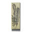 «Tall Fern 2» par Silvia Vassileva, art mural sur toile-141844909