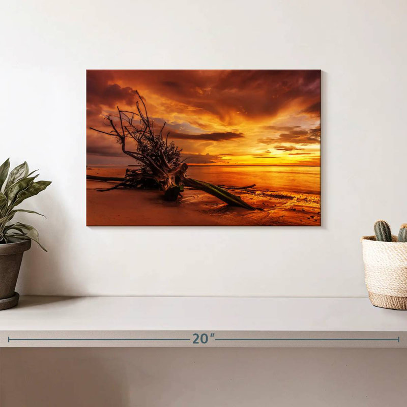 Gillard Driftwood au coucher du soleil, H 8 po x l 12 po