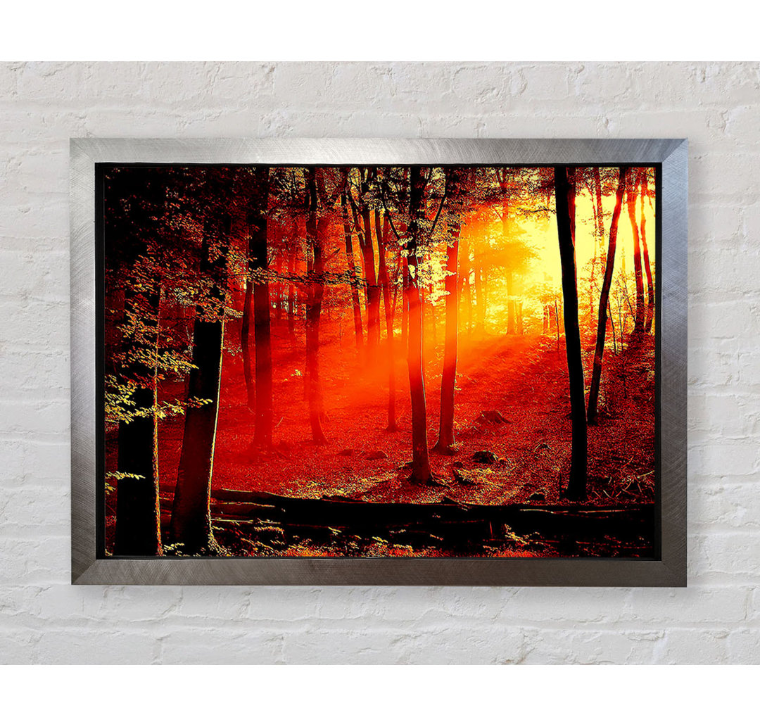 Red Woodland Beam - Einzelner Bilderrahmen Kunstdrucke