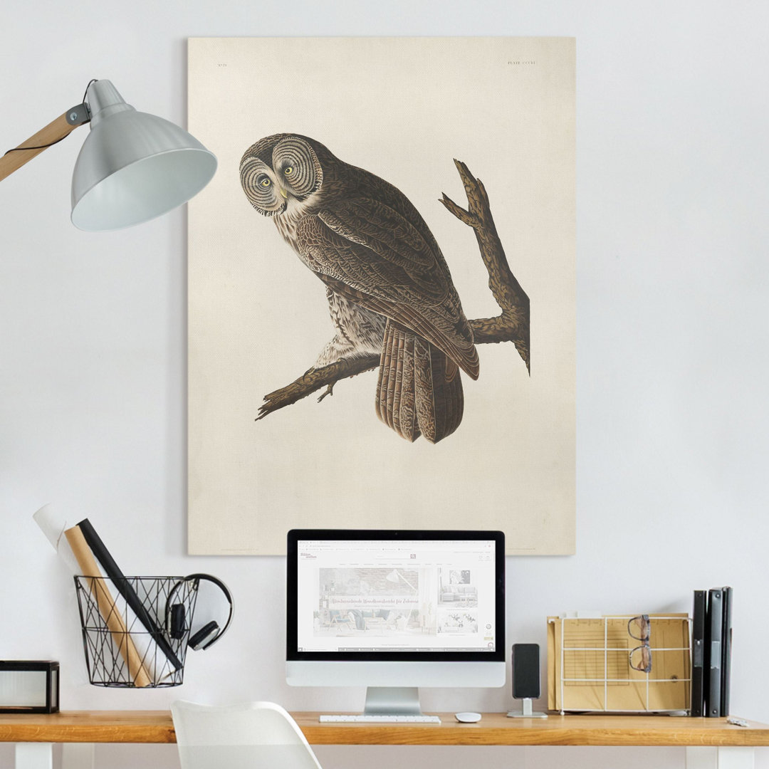 Leinwandbild Large Owl Wall Chart