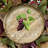 Wine Bar Handmade Deco Mesh Wreath