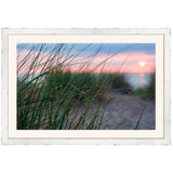 Dune Grass With Dew Print by Ted Glasoe