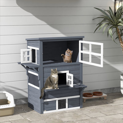 Monte Cat,wood