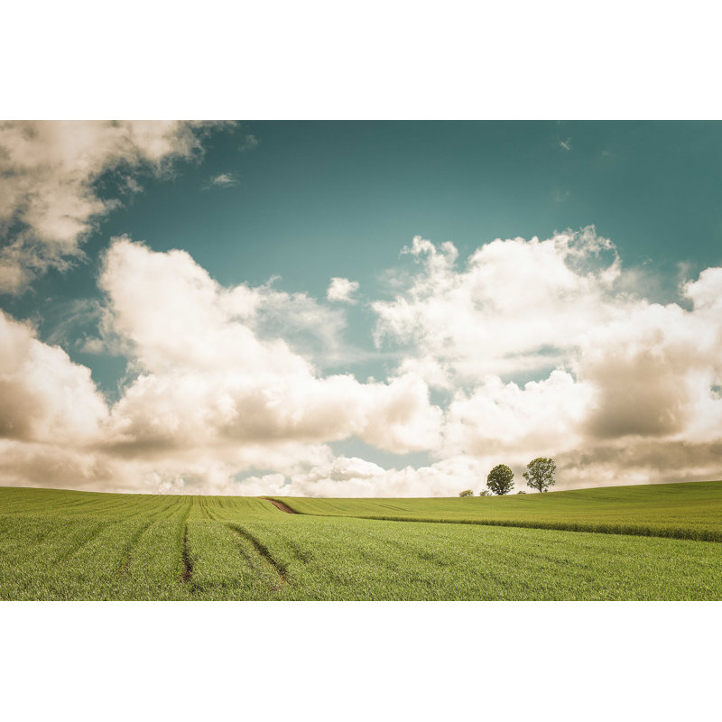 Prairie - photographie sur toile tendue, L 12 po x H 8 po