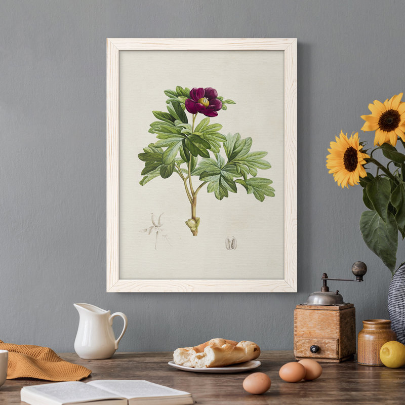 «Pretty Pink Botanicals III», reproduction d'art sur toile, H 20 po x l 24 po x P 1 po, Cadre blanc