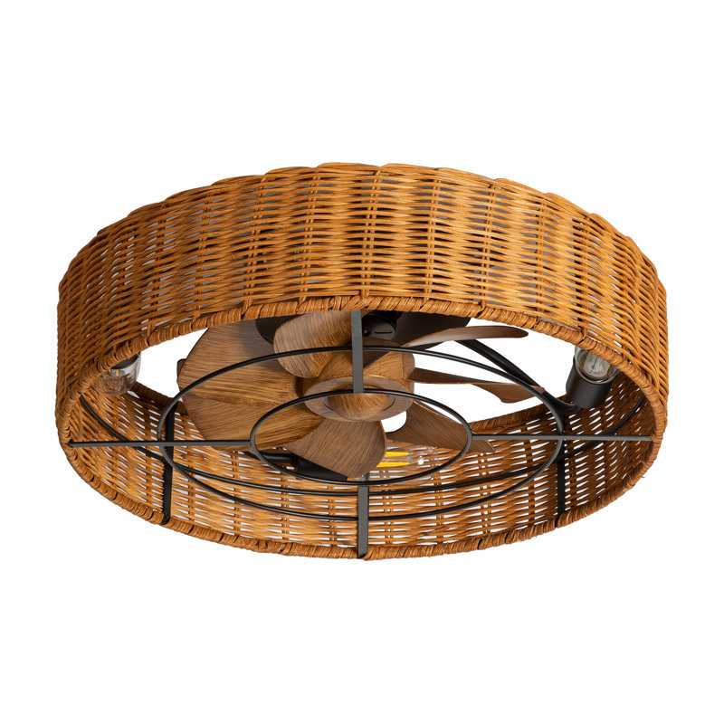 Adiyan 19'' Ceiling Fan with Light Kit