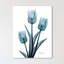 Midnight Sky Tulip Trio 2 1 Piece Wrapped Canvas Wall Art-1431616776