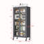 Buffet 15,75 po Ravita-1913704084
