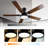 Ceiling Fan with LED Lights-337638974
