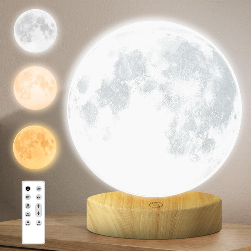 Darriel Wood Globe Lamp