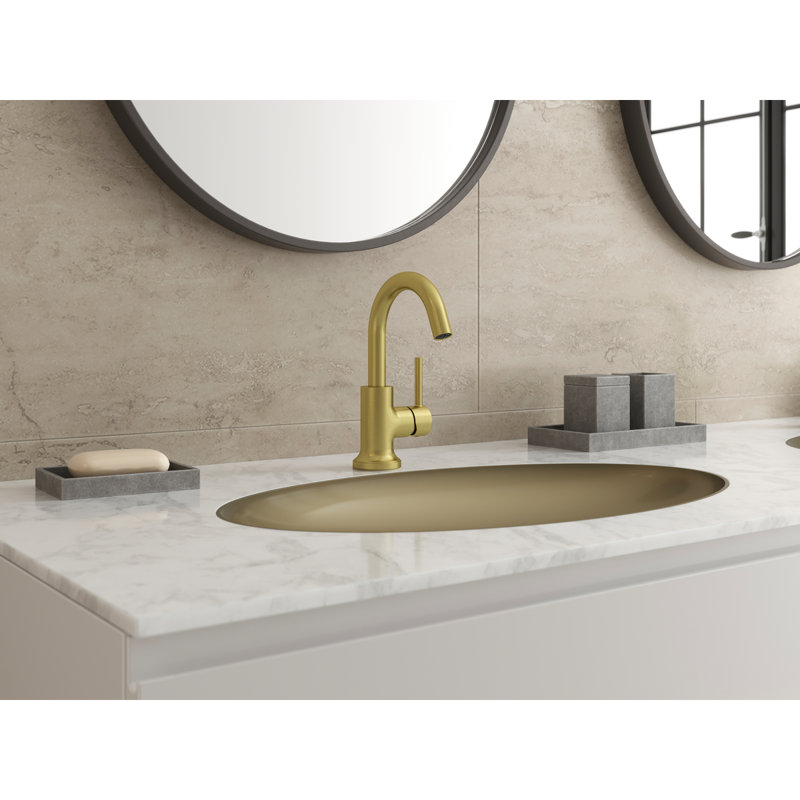 TENET Single Hole Bathroom Faucet with Drain Assembly