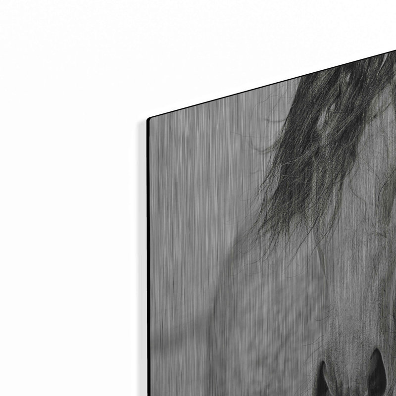 «My Beautiful Mane» par Lisa Dearing, H 12 po x l 16 po