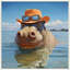 Hat-tailed Hippo Swim 3 - Framed-1294940280