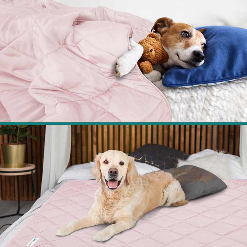 PET - B3022C Nylon rafraîchissant, 80 po x 60 po, Rose