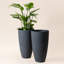 Ensemble de 2 pots à fleurs hauts et ronds-848505875-878031881
