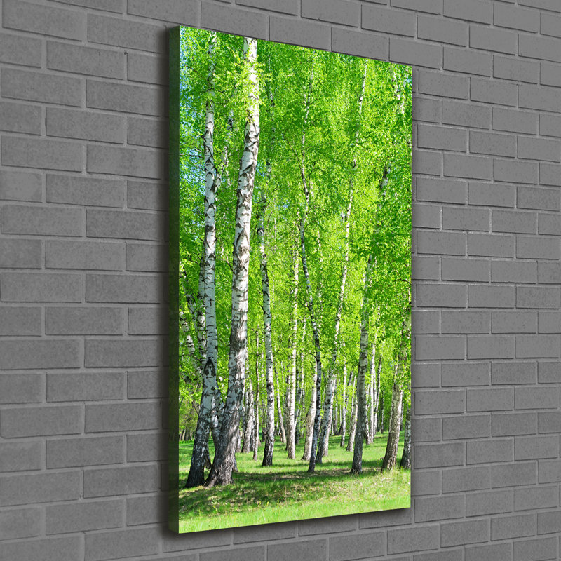 Birch Forest - Wrapped Canvas Print