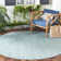 Ephraim Performance Solid Color Indoor/Outdoor Area Rug