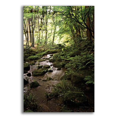 Lush Creek in Forest par Debra Van Swearingen - photographie non encadrée