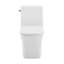 Toilette carrée à chasse d'eau 1,1 / 1,6 GPF une pièce à cuve brute de 14 po Concorde