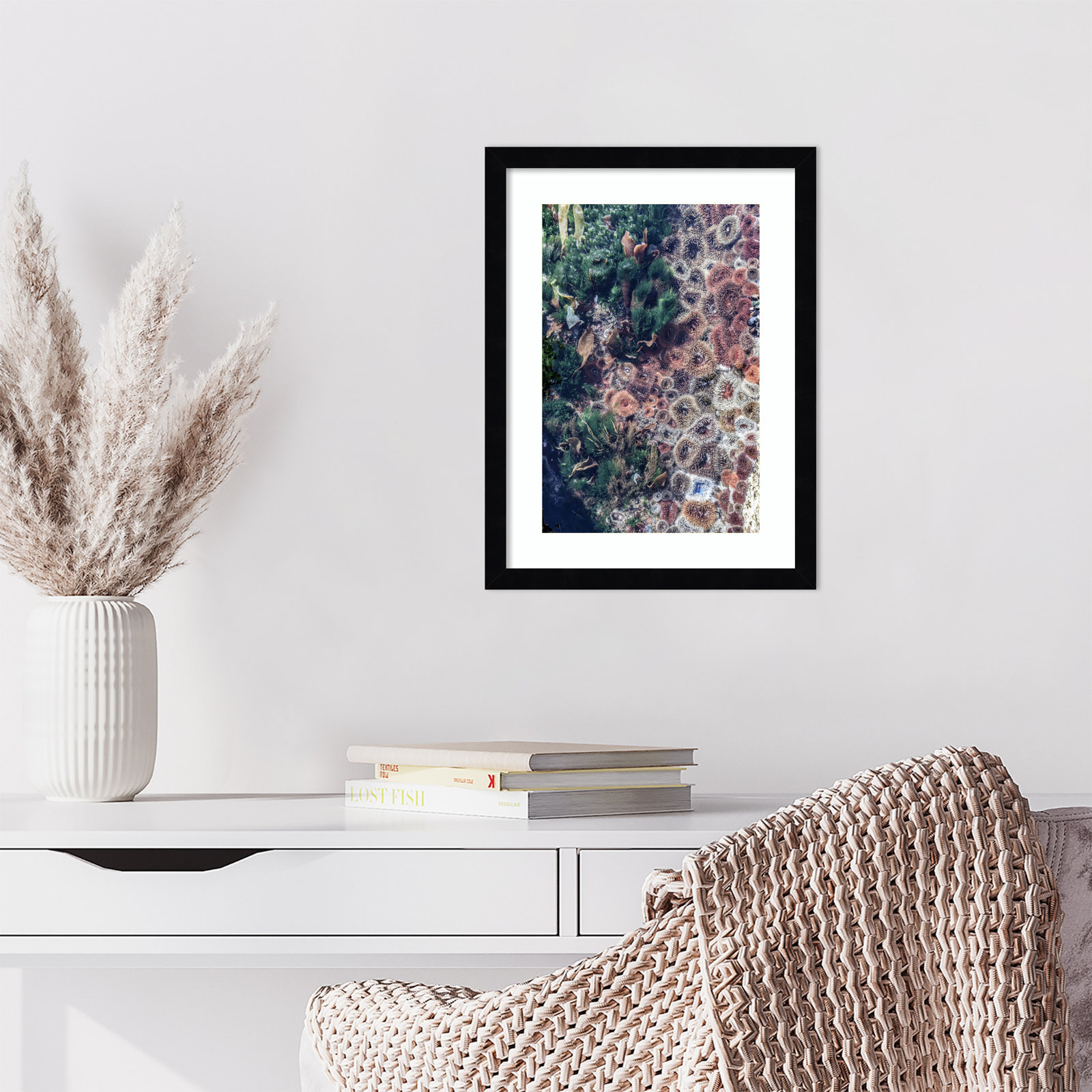 Ocean Curiosities by Shot by Clint Wood Framed Wall Art Print, Black, 17" H x 13" W