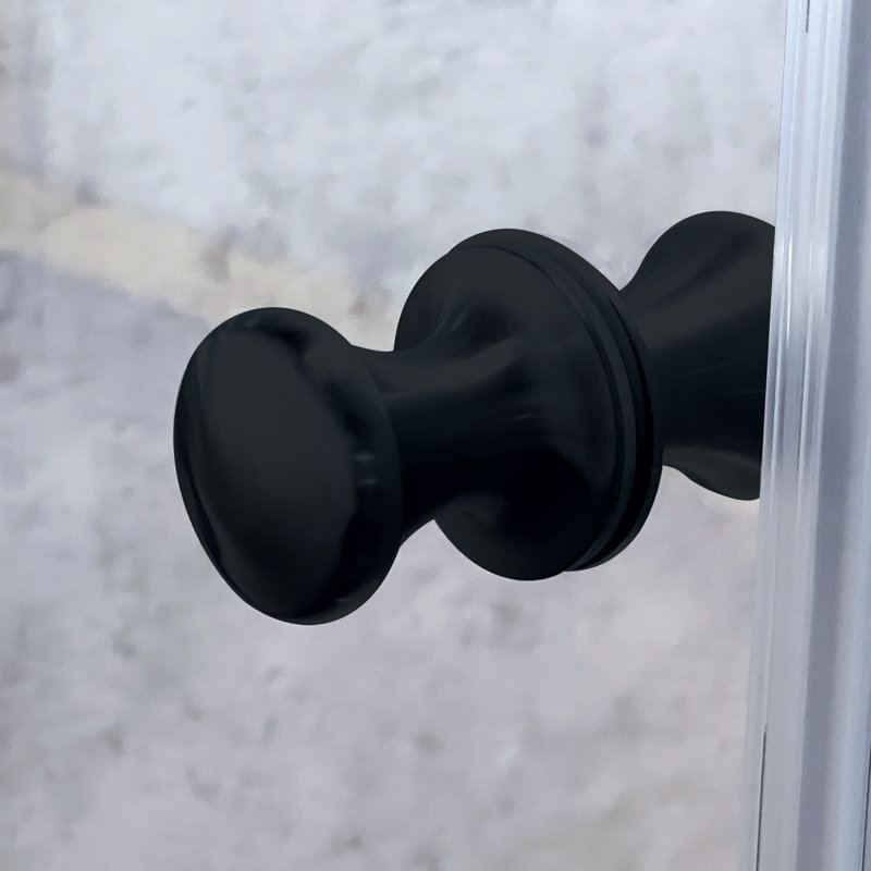 Lyna Pivot Shower Door with Glass, Black