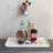 Elegant Mango Wood Tray