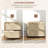 2 Drawer File Cabinet With Lock, Vertical Filing Cabinet With Keys, Rattan Drawers And Adjustable Hanging Bar For Letter, A4 And Legal Size Paper, Natural