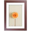 Picture Frame with Mat-79322723