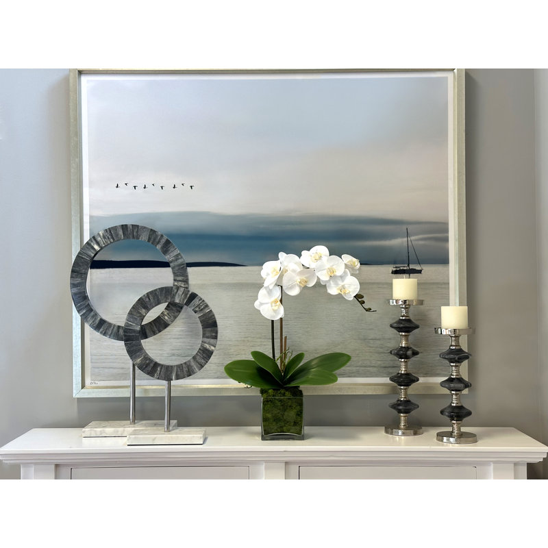 Phalaenopsis In Glass Vase With Moss