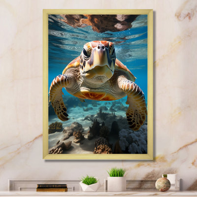 " Turle Marine Life Encounter II "