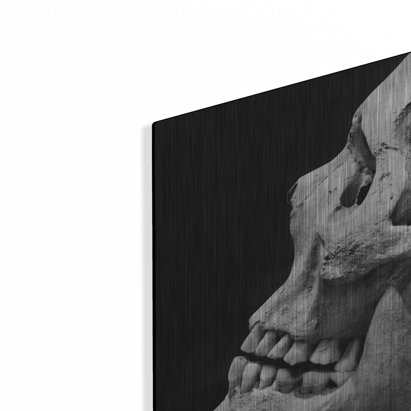 «The Beauty Of Bones 2» par Ben Heine, H 16 po x l 24 po