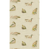 Duck Pond
