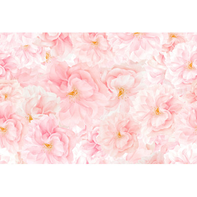 " Sakura Blossoms Background "