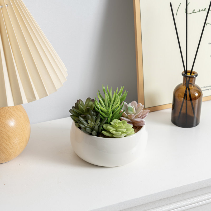 Fake Succulent Arrangement Plants in White Pot