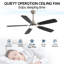 Ventilateur de plafond 52 pouces avec lumière DEL, télécommande